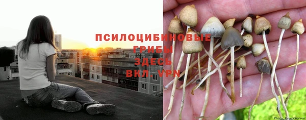 меф VHQ Белокуриха