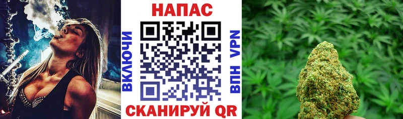 гидра ТОР  Михайлов  Бошки Шишки тримм 